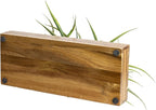 MyGift Large Artificial Green Grass Plants Potted in 14 Inch Premium Acacia Solid Wood Rectangular Planter Box, Decorative Tabletop Faux Greenery Centerpiece Décor