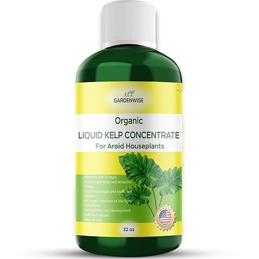 GARDENWISE Organic Premium Seaweed Fertilizer - Liquid Kelp Plant Food for Aroid Houseplants: Monstera, Philodendron, Pothos, ZZ Plant, Dieffenbachia, Alocasia, Caladium (32 OZ)