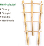 Cambaverd Trellis for Climbing Plants Indoor Outdoor, Natural Bamboo Trellis 24 Inch, 3 Pack Garden Trellis for Potted Plants, Ivy, Monstera, Houseplants