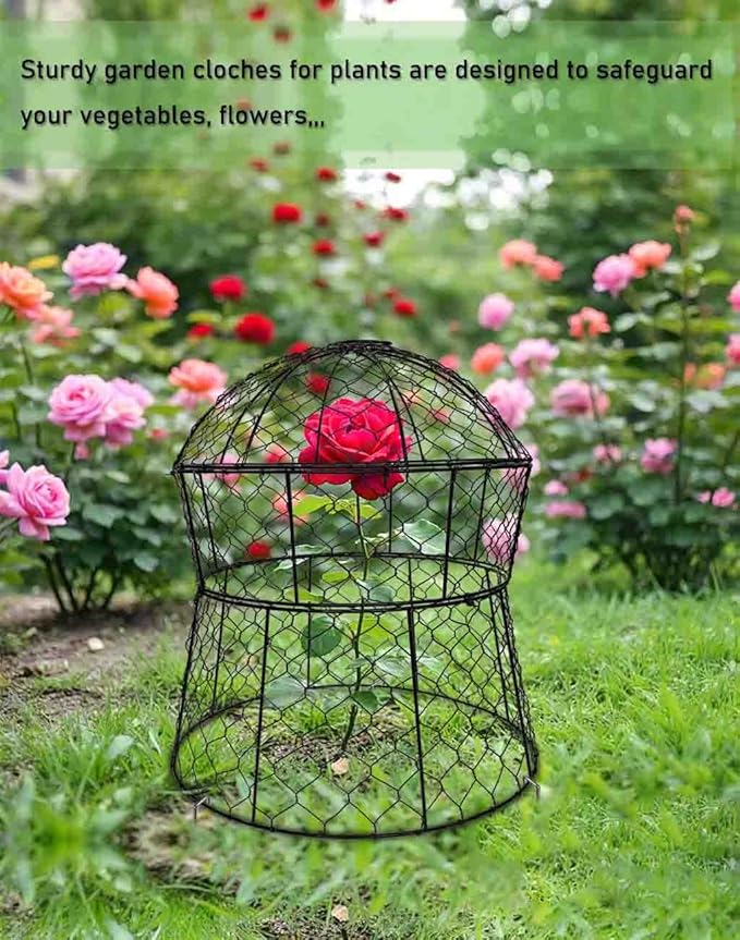 Garden Cloches for Plants 2 Pack Metal Plant Protectors from Animals Chicken Wire Cloche Updated Plant Cages for Outdoor Plants Vegetables Seedlings 13" D x 14" H