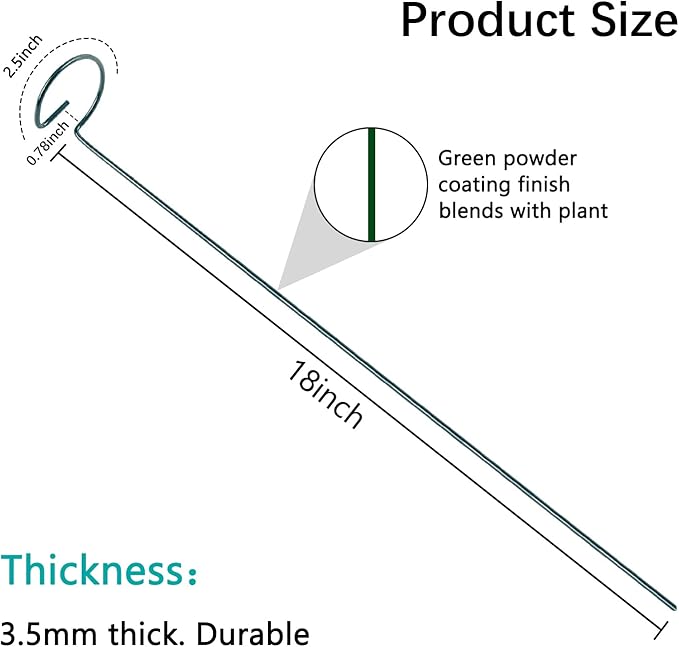 Thealyn 12 Pack 18 Inch Plant Support Stakes, Metal Single stemmed Flower Support Hoops，Garden Plant Stakes Plant Prop for Amaryllis Orchid Lily Rose Peony Tomatoes Gladiolus