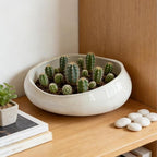 Modern Ceramic Succulent Pot with Drainage – Indoor Plant Pots, Artistic Design Flower Pots for Home, Office, Weddings & Party Décor