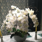 2 Pcs Orchid Stems 38" Artificial Flowers Real Touch Latex Faux Phalaenopsis Branches White Artificial Flowers for Wedding Party Home Garden Decor (White)