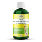 GARDENWISE Organic Premium Kelp Seaweed Fertilizer: Indoor Plant Fertilizer & Carnivorous Plant Food for Venus Flytraps, Sundews, Drosera Capensis,Pitcher Plants,Butterworts & Other (8 OZ)