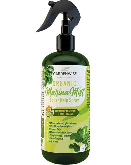 GARDENWISE Organic Marina Mist Foliar Spray for Fiddle Leaf Fig and Other Ficus Trees | Micro Nutrients for Vital Health | Gentle Formula | Liquid Plant Food | Quick Results | Ready to Use (8 OZ)