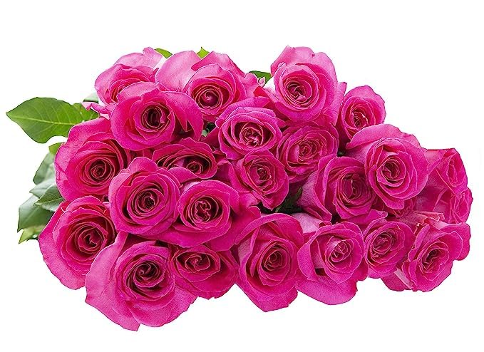 KaBloom - Pink Roses 24 with Greens Bouquet- Fresh Flowers for Birthday, Valentine's & Mother's Day