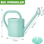 1 Gallon Watering Can for Indoor Plants, Garden Watering Cans for Outdoor Plant House Flower, Modern Plant Watering Can Large Long Spout with Sprinkler Head