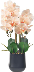 Orchids Artificial Plant in Ceramic Pot 18.5" Faux Orchid Phalaenopsis Flowers Arrangement for Home Office Table Centerpiece Indoor Decor, Champagne