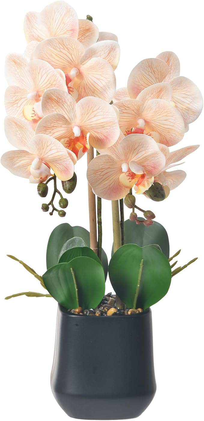 Orchids Artificial Plant in Ceramic Pot 18.5" Faux Orchid Phalaenopsis Flowers Arrangement for Home Office Table Centerpiece Indoor Decor, Champagne