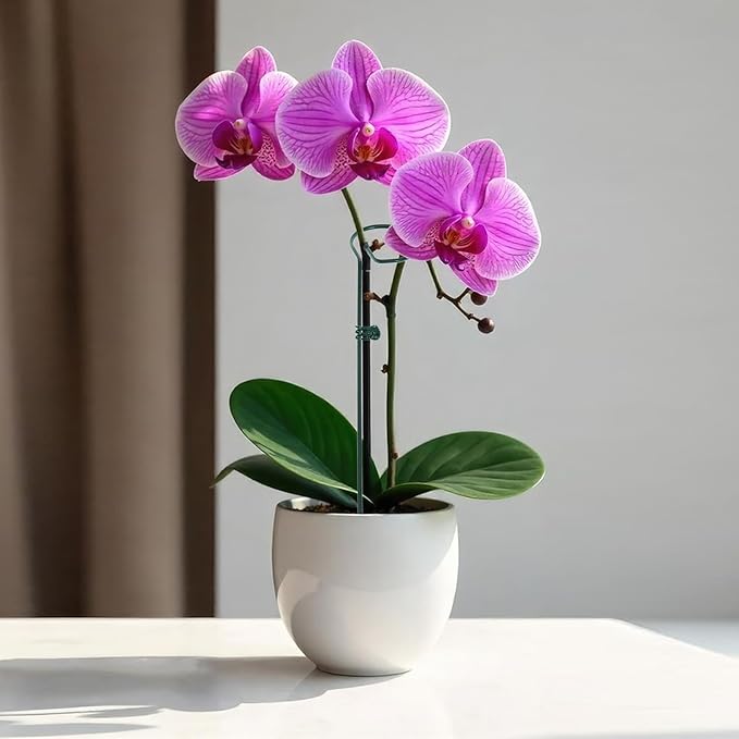 8 Sets Metal Plant Sticks Support Tall 48 Inch Adjustable Plant Support Stakes Amaryllis Holder Stakes Support Indoor Outdoor with 30 Clips 16.5' Ties for Orchid Tomato Lily Flower