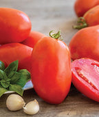Burpee 'Gladiator',25 Non-GMO Seeds, Hybrid Red Slicing & Paste Delicious Roma Tomato Variety, Indeterminate Seeds for Home Garden