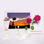 Together-life 4 Pack Ceramic Air Plant Holder, Cute Air Planter Table Top Display Planters for DIY Planting Home Office Decoration Supplies