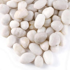 20LB River Pebbles Polished Gravel for Plants Natural White Plant Stones River Rocks 3/4-1 5/8 Inch River Stones for Landscaping Small Pebbles for Crafts