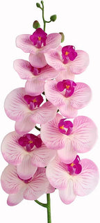 Htmeing 38 Inch Artificial Phalaenopsis Flowers Branches Real Touch (Not Silk) Orchids Flowers for Home Office Wedding Decoration,Pack of 2 (Pink Purple)