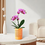 Orchid Pots with Holes 4 Inch, Ceramic Orchid Pot for Repotting with Saucers,More Ventilation Hole Easy Breathing, Plant Pot for Repotting Orchids and Other Flowers - Indoor/Outdoor Orange