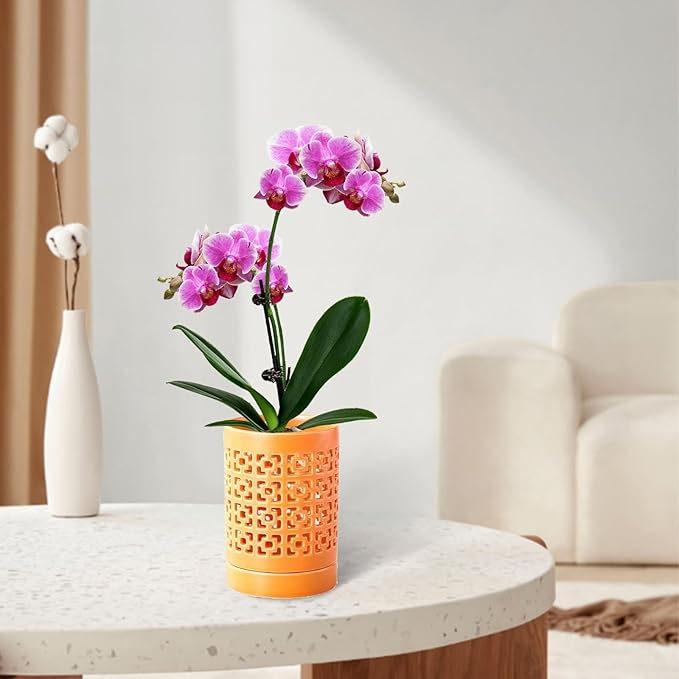 Orchid Pots with Holes 4 Inch, Ceramic Orchid Pot for Repotting with Saucers,More Ventilation Hole Easy Breathing, Plant Pot for Repotting Orchids and Other Flowers - Indoor/Outdoor Orange