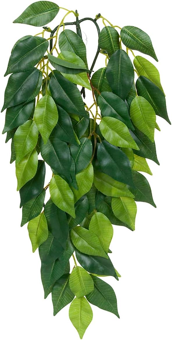 Exo Terra Silk Terrarium Plant, Medium, Ficus