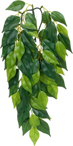 Exo Terra Silk Terrarium Plant, Medium, Ficus