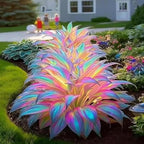 305+ Hosta Seeds Mix for Planting,Rare Hosta Seeds Mixed Colors,Dual Use for Ground Cover & Pots, Create Cool Shaded Garden Outdoor