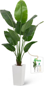 Aveyas 6ft Artificial Bird of Paradise Tree for Home Decor, 6 Feet Faux Floor Plant Fake Silk Banana Leaf Tropical Trees with Pot for Indoor Outdoor House Living Room (6 ft Tall Including Raised Pot)