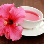 Pink Hibiscus. rosa-sinensis. Live Plant - Tropical Blooming Hibiscus, Pretty Flowers, Used in Tea and Juice (2 Pink Hibiscus Cups)