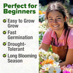 HOME GROWN 47000+ Moss Rose Seeds (Bulk Pack) Annual Flower for Ground Cover - Heirloom Non-GMO Portulaca Seeds for Planting Outdoors - Great for Low-Maintenance Gardens (Portulaca grandiflora)