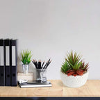 Briful Small Fake Plants Assorted Faux Succulents in Pots Realistic Succulents Plants Artificial with Cement Pots for Home Table Office Desk Bathroom Shelf Living Room Decor