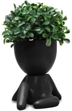 Zerzsy Cute Faux Succulent Desk Decor, Small Fake Plants Decor for Bedroom and Bathroom, Lovely Faux Succulent Desk Decoration for Office and Home - Set of 1