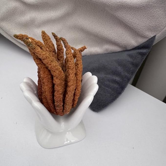 Air Plant Holder Cute Ceramic Mini Hand Shape Stand Airplants Tillandsia Small Container Pot Plant Decorative Home Decor for Desk Table Shelf Office Decorations, White