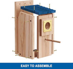 Bird Houses for Outside 2Pack with Copper Guard,Thicken Wooden Bluebird House Clearance Garden Country Cottages, Nesting Box for Finch Swallow Wren Chickadee Wild Bird Supplies, Easy to Assemble