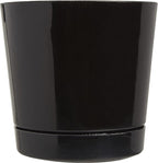 Root & Vessel Majestic Full Depth Round Cylinder Pot, Glossy Black, 8-Inch (10088)