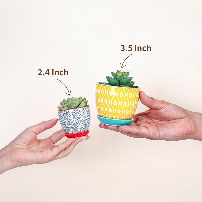 Selamica Ceramic 2.4 Inch Succulent Pots, Mini Flower Pots for Cactus Plant with Drainage Holes & Saucers, Home Decor, Set of 6, Assorted Colors