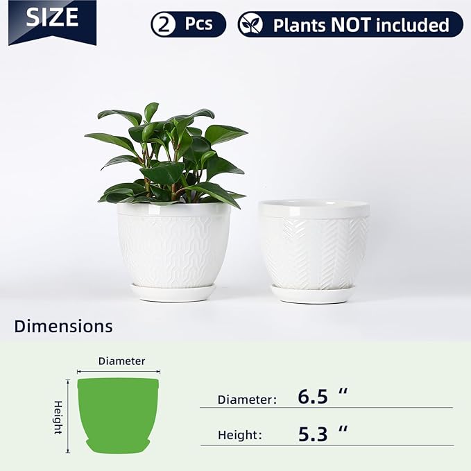 Sureasy 6.5 Inch Ceramic Plant Pots, Embossed Decorative Planters with Drainage Hole and Saucer, Modern Flower Pots for Indoor Plants, Set of 2, White