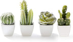 Artificial Mini Succulent & Cactus Plants in White Cube-Shaped Pots for Home Decor, Set of 4
