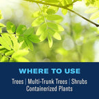 BioAdvanced 12 Month Tree & Shrub Protect and Feed Concentrate - Mix & Pour - Insect Control and Plant Food - Up to 12 Months Protection - 32 oz Bottle