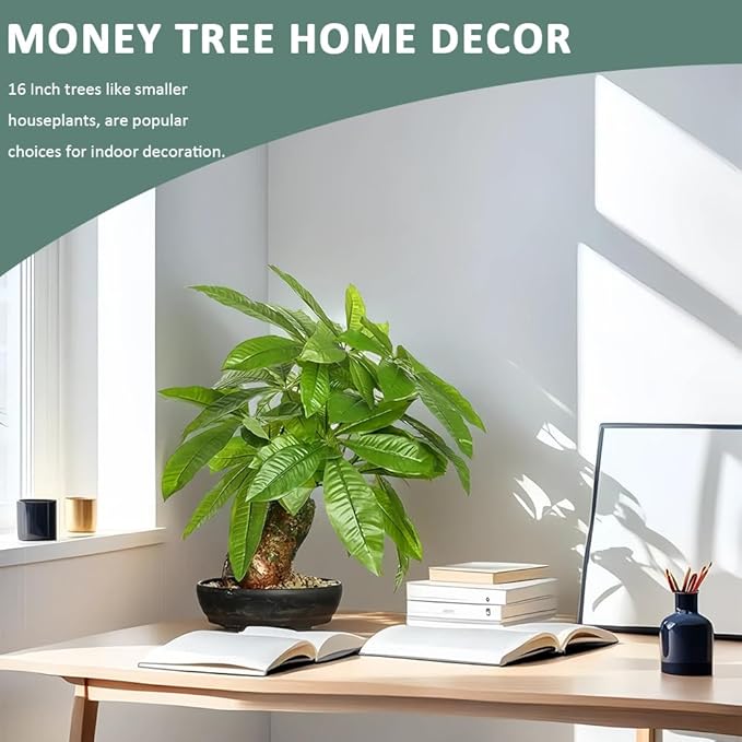 16 Inch Fake Money Tree, Artificial Bonsai Money Tree for Good Luck Fortune, Small Faux Potted Plant for Home Office Desk Living Room Bedroom Decor