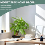 16 Inch Fake Money Tree, Artificial Bonsai Money Tree for Good Luck Fortune, Small Faux Potted Plant for Home Office Desk Living Room Bedroom Decor