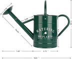 Galvanized Watering Can for Outdoor Indoor Plants, 1 Gallon Decorative Countryside Water Can with Removable Spout, Metal Watering Can for Indoor Plants and Garden Flower (Green)