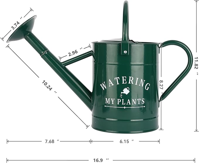 Galvanized Watering Can for Outdoor Indoor Plants, 1 Gallon Decorative Countryside Water Can with Removable Spout, Metal Watering Can for Indoor Plants and Garden Flower (Green)