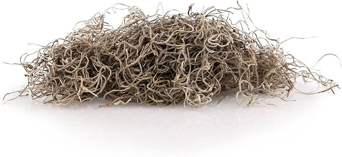 Gardenera Premium Natural Spanish Moss | Natural Preserved - Great Ground Cover - Filler for Potted Plants - 5 Quart Bag