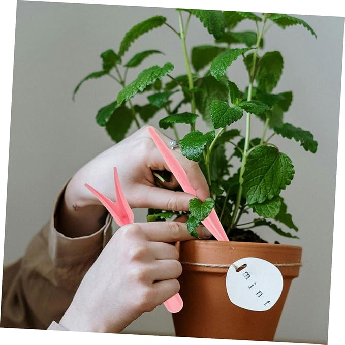 Garden Planting Tools Set 12pcs Succulent Transplanting Accessories for Indoor and Outdoor Gardening Includes Flower Care Tools and