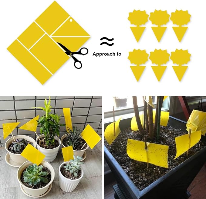 Kensizer 50-Pack Fruit Fly Trap, Yellow Sticky Gnat Traps Killer for Indoor/Outdoor Flying Plant Insect Like Fungus Gnats, Whiteflies, Aphids, Leaf Miners - 6x8 in, Twist Ties Included