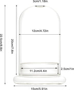 Glass Cloche Dome Terrarium with Base & Ventilation Holes -7.9"x4.7"Clear Display Case for Carnivorous Plants,Succulents,Venus Flytrap & Eternal Roses,Small Desktop Decor Gift Box(No Plants Included)