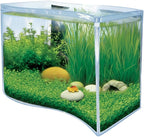 Toys By Nature Freshwater Oasis Garden, Mini Wave Terrarium Kit with Aquatic Seeds and Real Water Plant, Beginner-Friendly Terrariums and Live Indoor Plants Decor