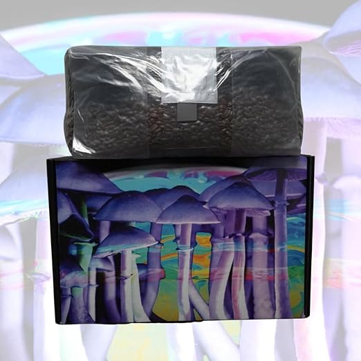 Jumbo 6 Pound Magic All in One Mushroom Grow Bag