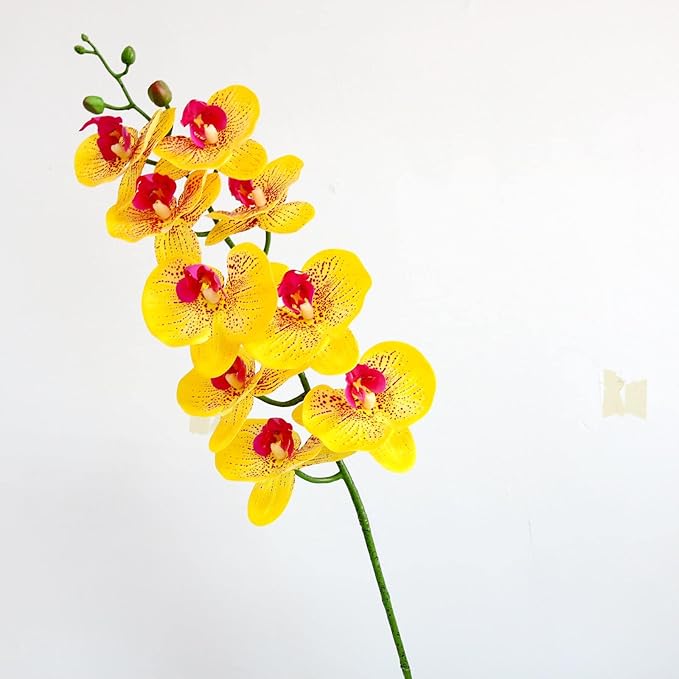 Htmeing 38 Inch Artificial Phalaenopsis Flowers Branches Real Touch (Not Silk) Orchids Flowers for Home Office Wedding Decoration,Pack of 2 (P-Stripe)