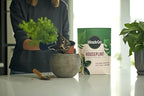 Miracle-Gro Houseplant Potting Mix - Fertilized Soil, Designed to be Less Prone to Gnats, 4 qt. (2-Pack)
