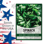 Gardeners Basics, Bloomsdale Spinach Seeds for Planting is A Great Heirloom, Non-GMO Vegetable Variety- Great for Indoor, Outdoor and Hydroponics Gardening