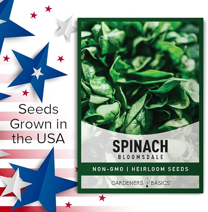 Gardeners Basics, Bloomsdale Spinach Seeds for Planting is A Great Heirloom, Non-GMO Vegetable Variety- Great for Indoor, Outdoor and Hydroponics Gardening