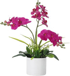 Garvee Real Touch Silk Phalaenopsis Orchid Artificial Flowers - 3 Stems Faux Orchid Bough with Vase, Lifelike Large Fake Flowers in Pot for Home Decor Living Room Bedroom Office Tabletop